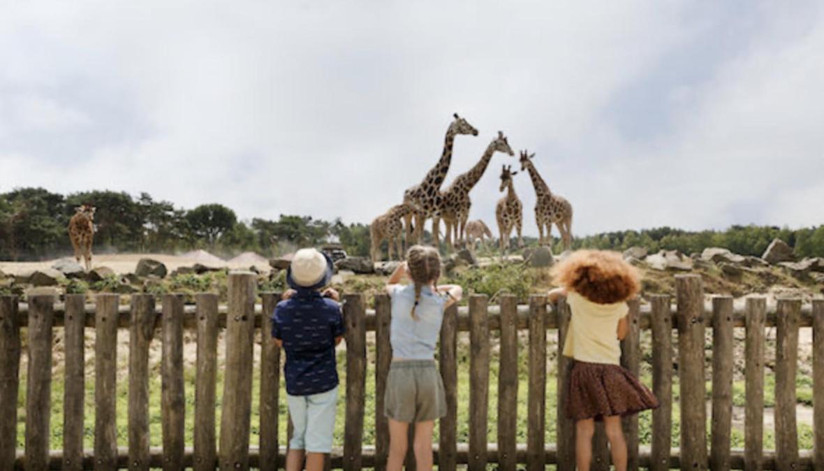 29, Natuurlijk Gelegen Nabij Efteling En Beekse Bergen, Airco & Prive Parkeren Inbegrepen! Oisterwijk Ngoại thất bức ảnh